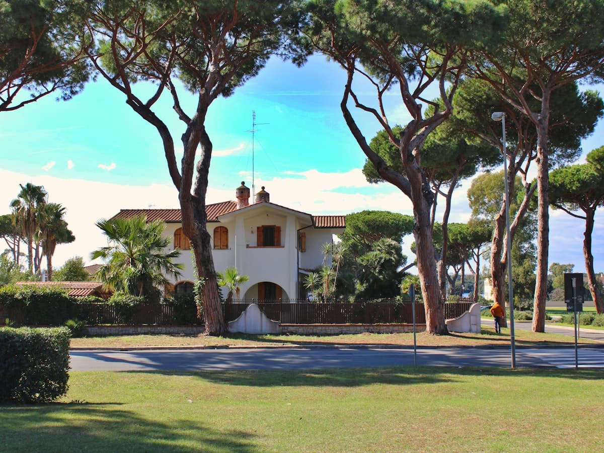 Casa blanca rodeada de pinos bajo cielo azul